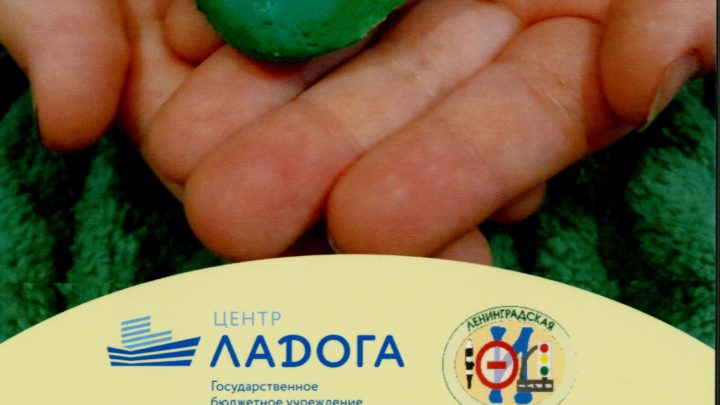 Региональная акция, направленная на профилактику ДДТТ«Скорость не главное»