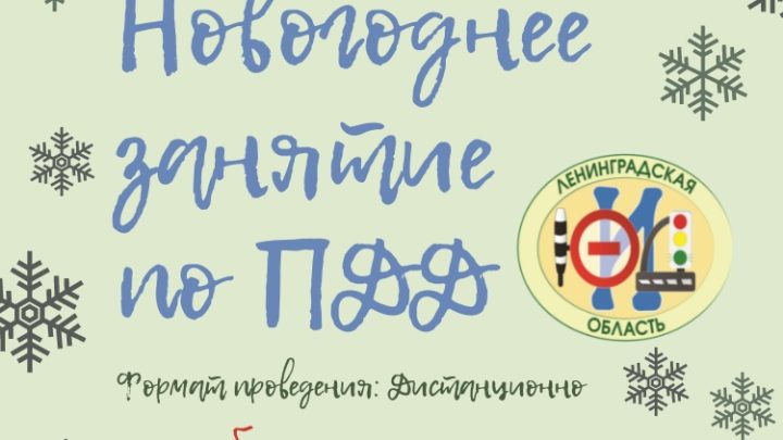 Новогоднее занятие для юных инспекторов движения