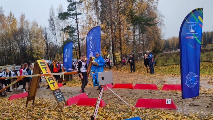 Финальные соревнования по осеннему кроссу. Областная спартакиада учащихся образовательных организаций профессионального и высшего образования Ленинградской области в 2022-2023 учебном году
