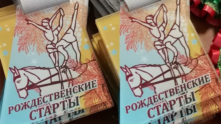 Открытый турнир по вольтижировке «Рождественские старты — 2023»