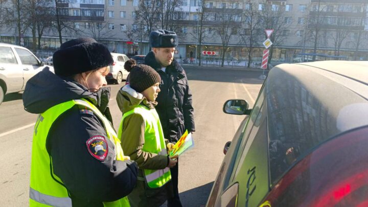 Региональная акция, направленная на профилактику детского дорожно-транспортного травматизма «Мои родители-ответственные водители!»