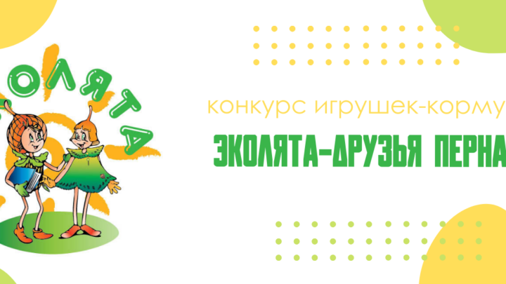 Анонс регионального этапа Всероссийского конкурса игрушек-кормушек «Эколята-друзья пернатых»