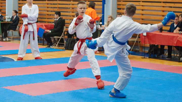 Итоги соревнования по каратэ «Первенство Всеволожского района по каратэ WKF» и мероприятия «Фестиваль по каратэ «Открытая Ладога»