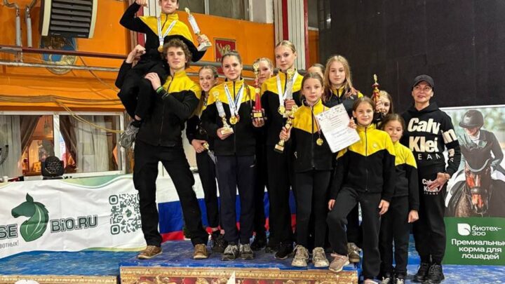 Итоги Всероссийских соревнований по конному спорту, Первенства России и Чемпионата.